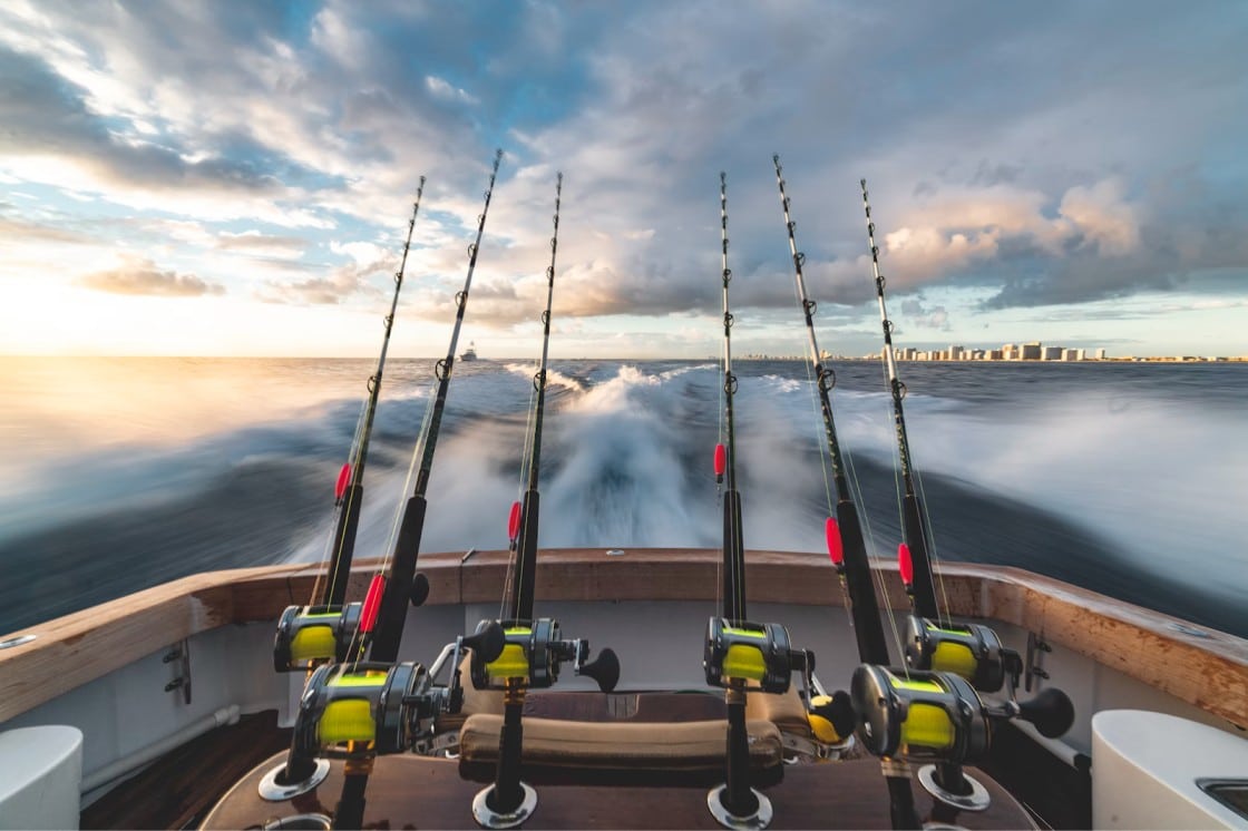 Winter Fishing in Dubai: Seasonal Catch Guide & Tips for Your Fishing Trip